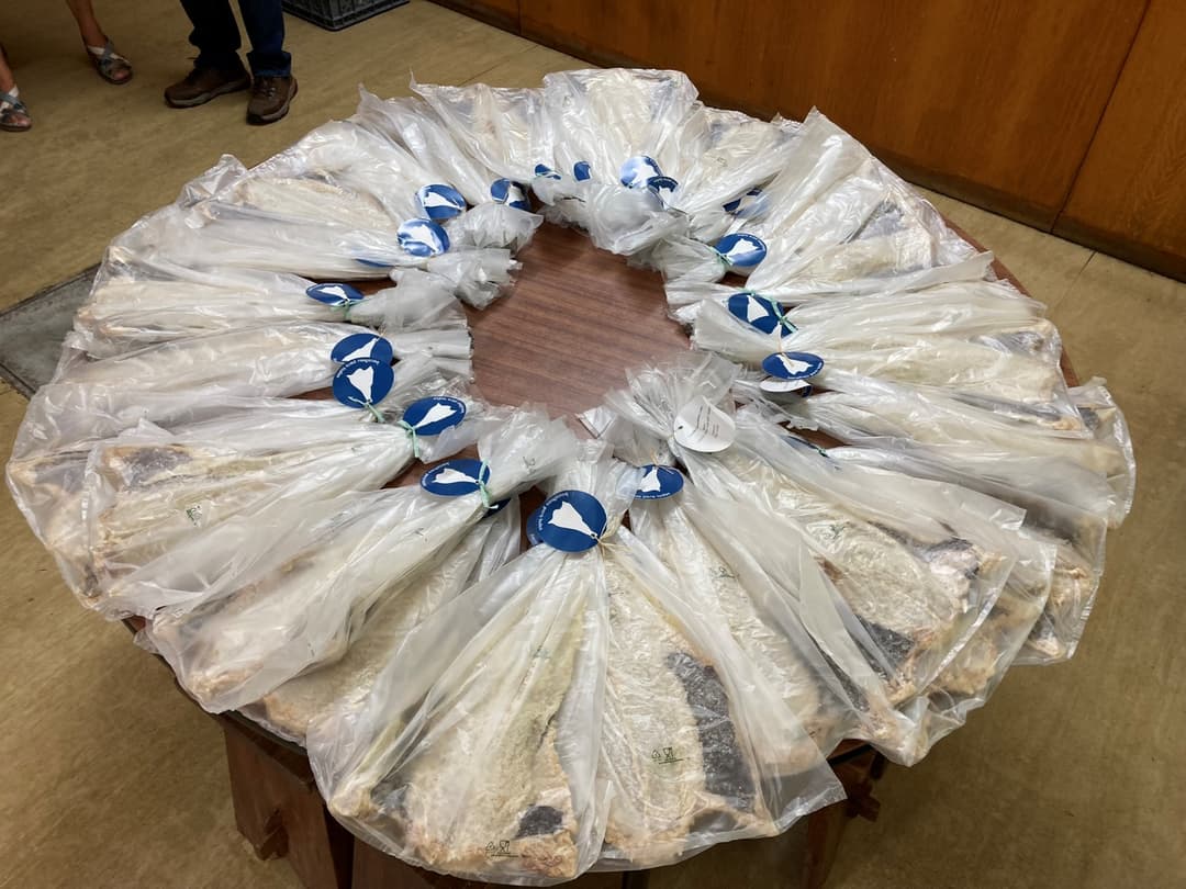 Por uma comunidade solidária e intergeracional onde cada um possa viver com qualidade e dignidade